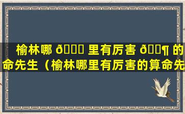 榆林哪 🐘 里有厉害 🐶 的算命先生（榆林哪里有厉害的算命先生啊）